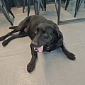 動物空間 (64).jpg