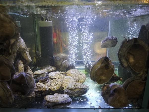 新三興嚐鮮主理 (16).jpg