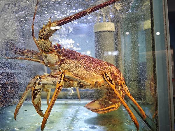 新三興嚐鮮主理 (15).jpg