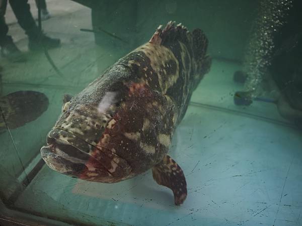 新三興嚐鮮主理 (52).jpg