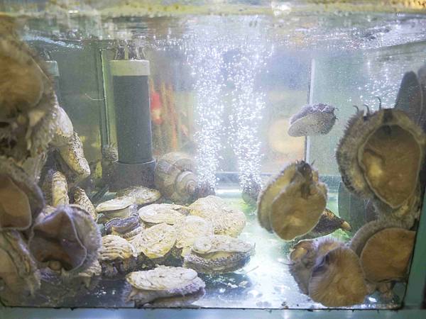 新三興嚐鮮主理 (16)_副本.jpg