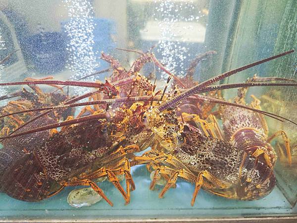 新三興嚐鮮主理 (17)_副本.jpg