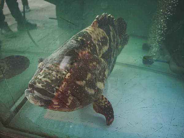 新三興嚐鮮主理 (52)_副本.jpg