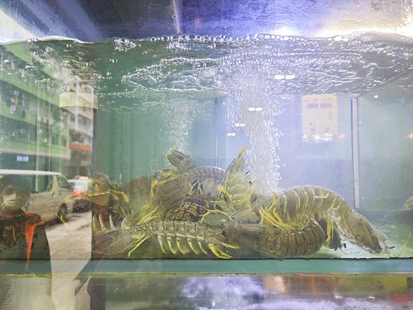 新三興嚐鮮主理 (55)_副本.jpg