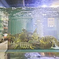 新三興嚐鮮主理 (55)_副本.jpg