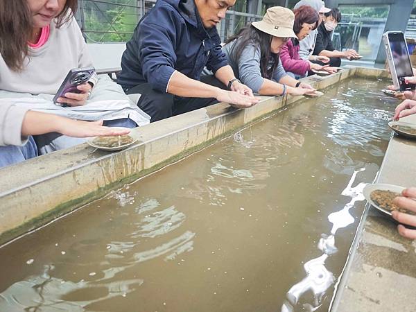 新北漫遊指南重訪瑞芳礦山黃金歲月 (107).jpg