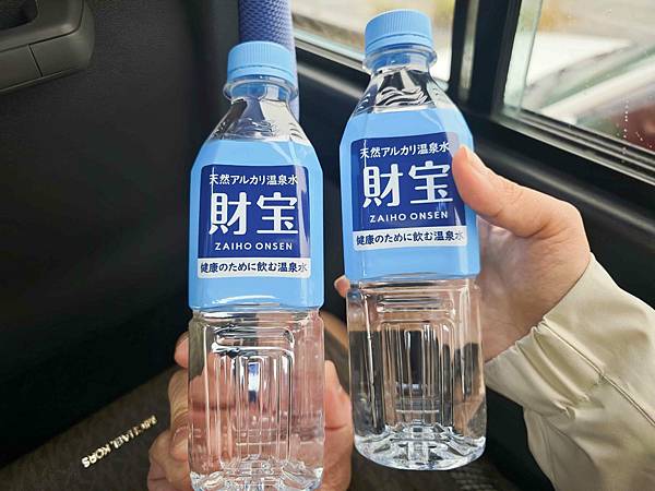 麗星郵輪探索星號 (3).jpg