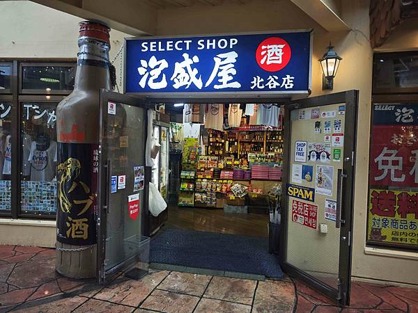 麗星郵輪探索星號 (8).jpg