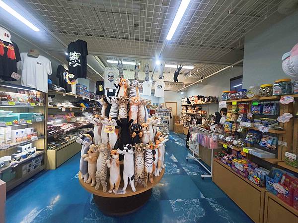 麗星郵輪探索星號 (9).jpg