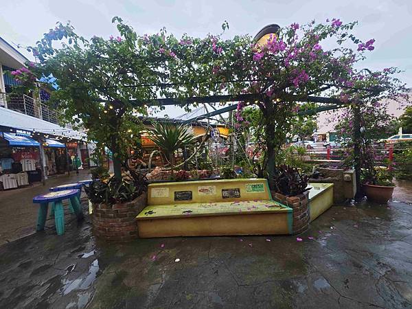 麗星郵輪探索星號 (12).jpg