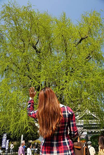 麗星郵輪探索星號 (3).jpg