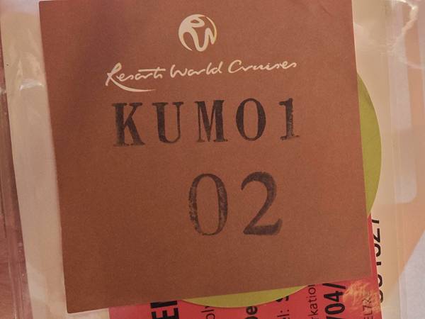 麗星郵輪探索星號 (18).jpg