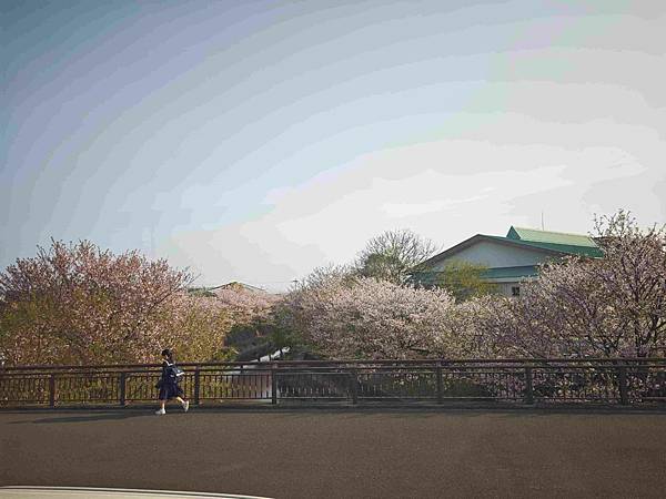 麗星郵輪探索星號 (28).jpg