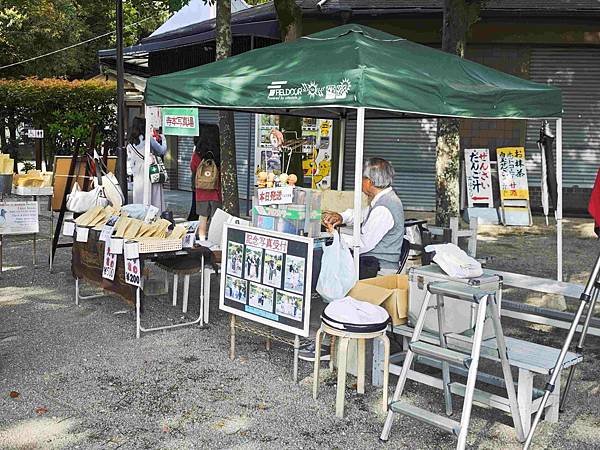 麗星郵輪探索星號 (38).jpg