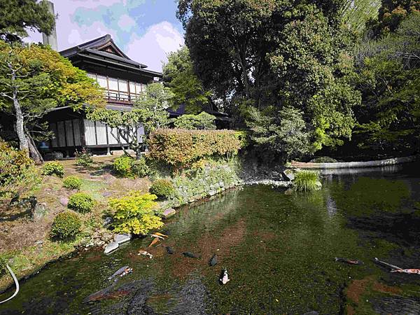 麗星郵輪探索星號 (43).jpg