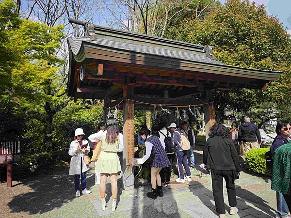 麗星郵輪探索星號 (48).jpg