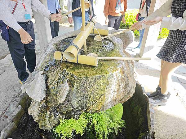 麗星郵輪探索星號 (49).jpg