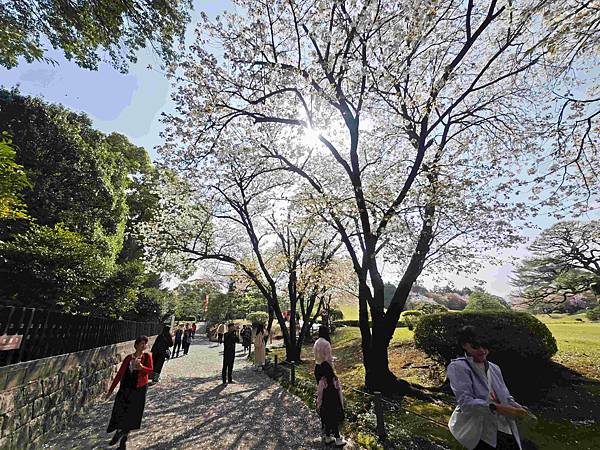 麗星郵輪探索星號 (66).jpg