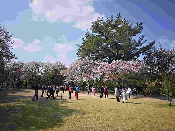 麗星郵輪探索星號 (72).jpg