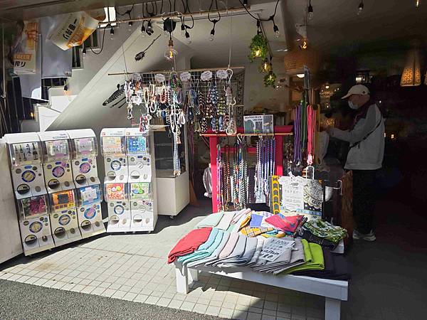 麗星郵輪探索星號 (78).jpg