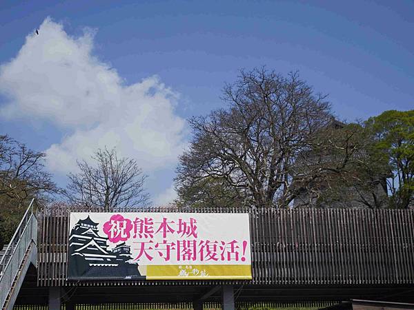 麗星郵輪探索星號 (85).jpg