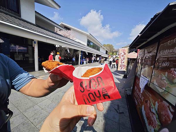 麗星郵輪探索星號 (91).jpg