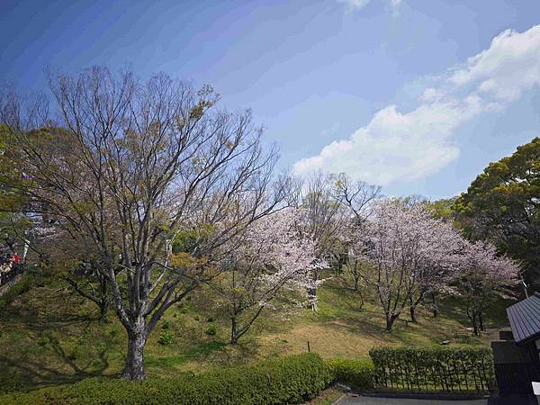 麗星郵輪探索星號 (94).jpg
