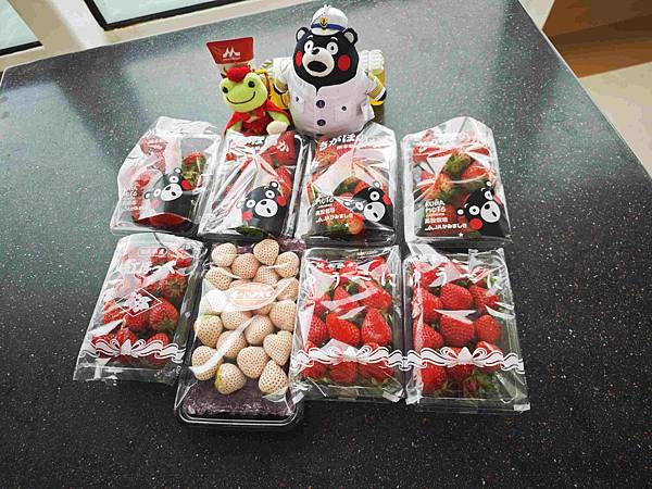 麗星郵輪探索星號 (134).jpg