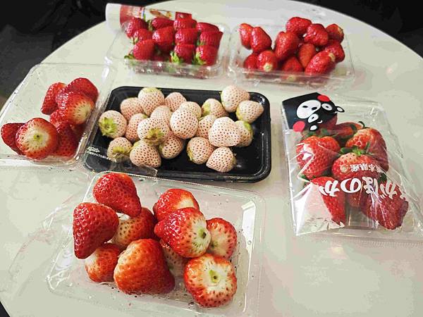 麗星郵輪探索星號 (135).jpg