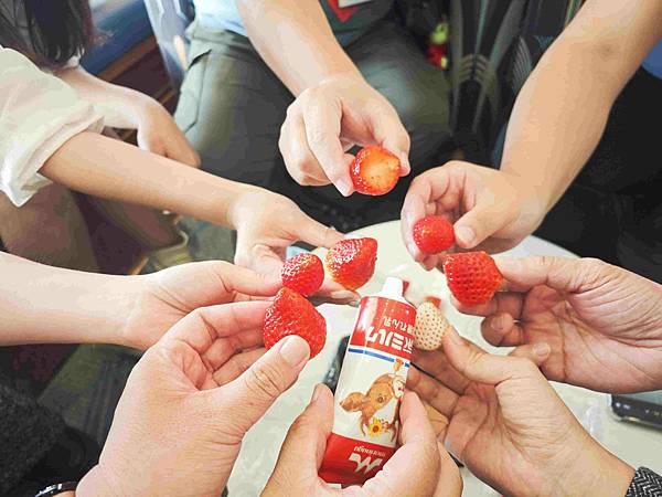 麗星郵輪探索星號 (137).jpg