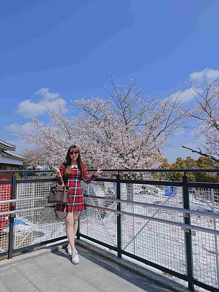 麗星郵輪探索星號 (148).jpg