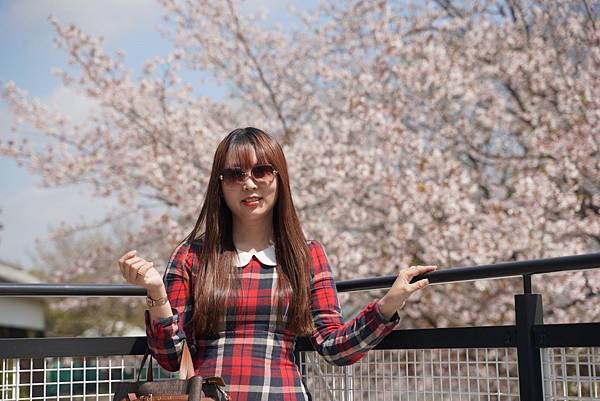 麗星郵輪岸上熊本 (1).jpg