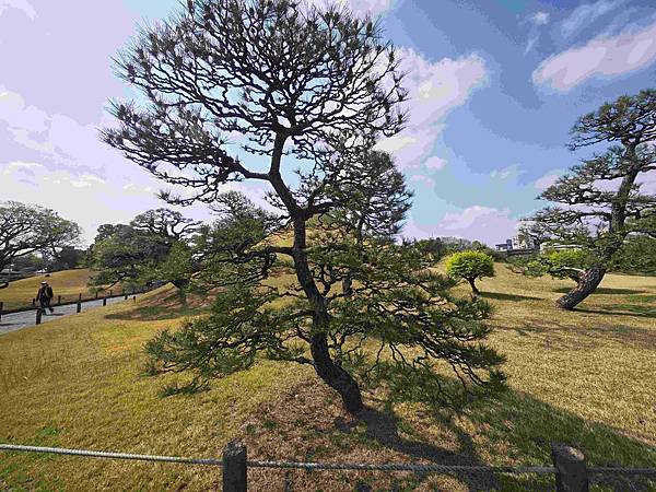 麗星郵輪岸上熊本 (31).jpg