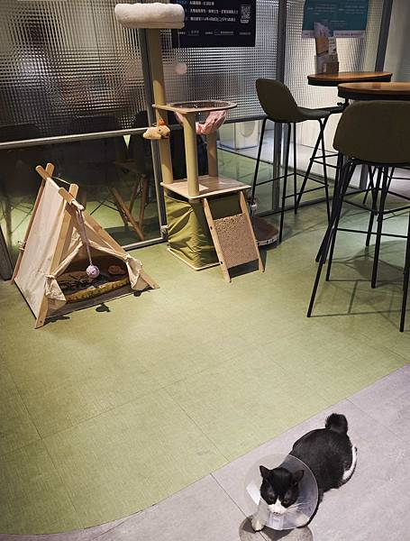 HOUR JUNGLE共享空間 (9).jpg