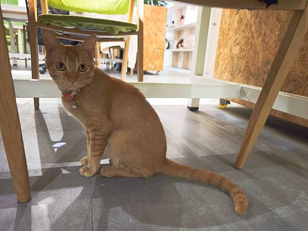 HOUR JUNGLE共享空間 (17).jpg