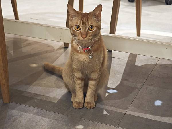 HOUR JUNGLE共享空間 (18).jpg