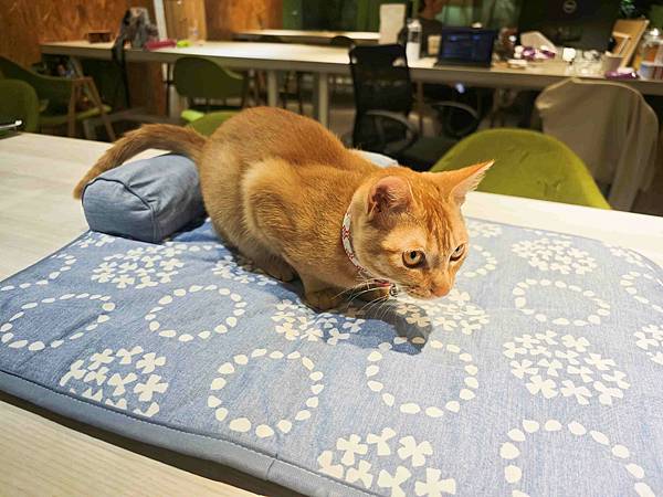 HOUR JUNGLE共享空間 (20).jpg