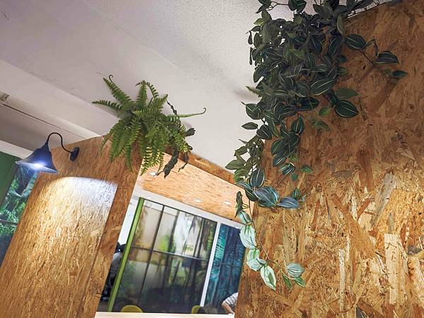 HOUR JUNGLE共享空間 (37).jpg