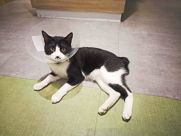 HOUR JUNGLE共享空間 (43).jpg