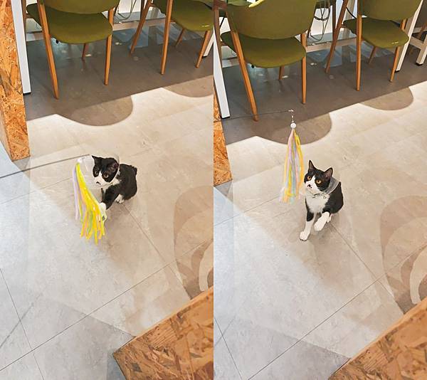 HOUR JUNGLE共享空間 (45).jpg