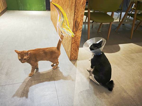 HOUR JUNGLE共享空間 (47).jpg