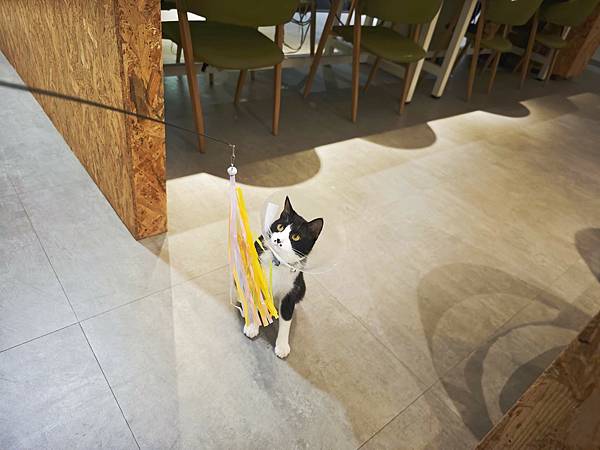 HOUR JUNGLE共享空間 (46).jpg