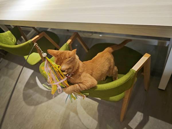 HOUR JUNGLE共享空間 (48).jpg