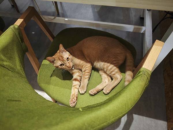 HOUR JUNGLE共享空間 (49).jpg