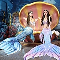 美人魚夜未眠與人魚姊姊互動拍照_副本.jpg