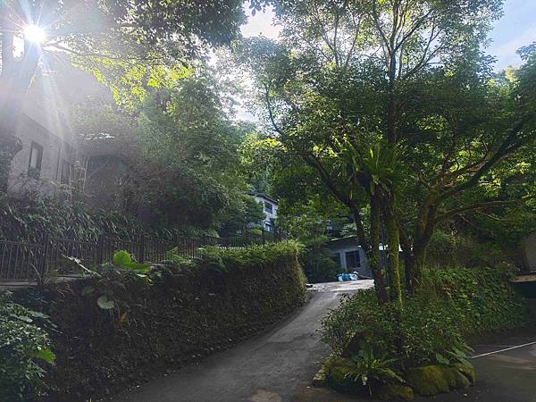 大板根溫泉主題房與恐龍劇團 (40)_副本.jpg