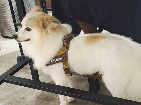 SPARKLING HAIR  SALON (9).jpg