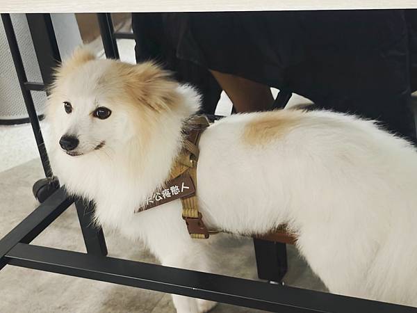 SPARKLING HAIR  SALON (10).jpg