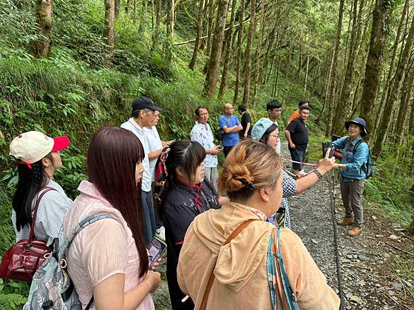 檜木的故鄉~棲蘭馬告神木園區 (4).jpg