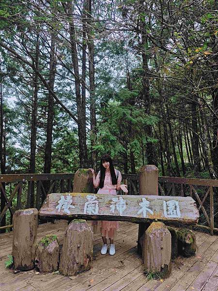 檜木的故鄉~棲蘭馬告神木園區 (11).jpg